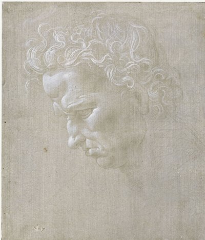 Cabeça expressiva de um homem de perfil de Leonardo da Vinci