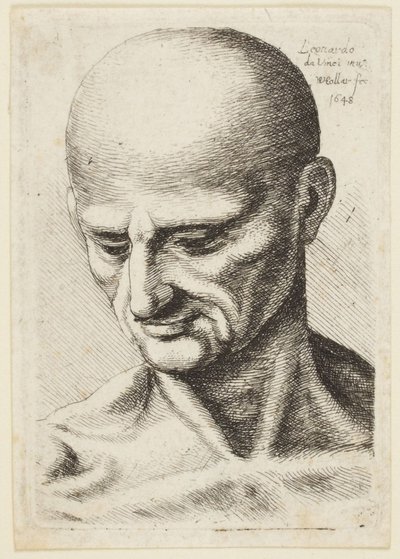 Homem careca de Leonardo da Vinci