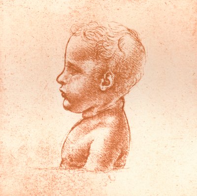 Busto de menino, c1472-c1519 1883 de Leonardo da Vinci