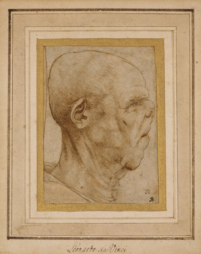 Caricatura da cabeça de um homem idoso, de perfil à direita, c.1507 de Leonardo da Vinci
