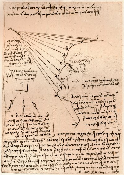 Desenho de uma cabeça masculina, ilustrando a prática da pintura, c1472-c1519 1883 de Leonardo da Vinci