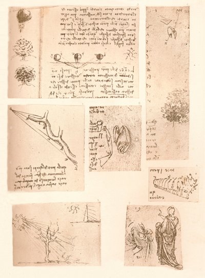 Cinco desenhos ilustrando os elementos da pintura de paisagem, c1472-c1519 1883 de Leonardo da Vinci