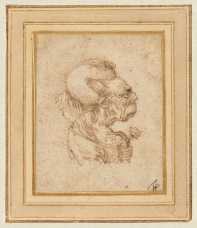 Cabeça grotesca de uma mulher idosa de Leonardo da Vinci