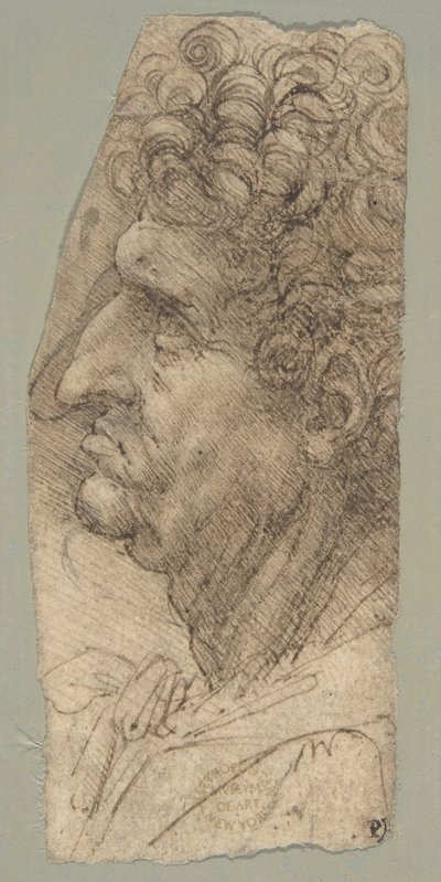 Cabeça de um homem de perfil, virada para a esquerda de Leonardo da Vinci
