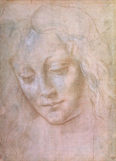 Cabeça de mulher (ponto de metal aumentado com guache) de Leonardo da Vinci