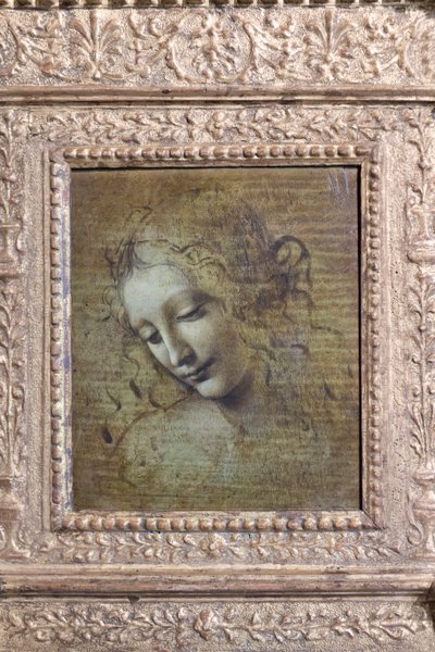 Cabeça de mulher, chamada "la scapigliata", c.1492-1501 (óleo sobre painel) de Leonardo da Vinci