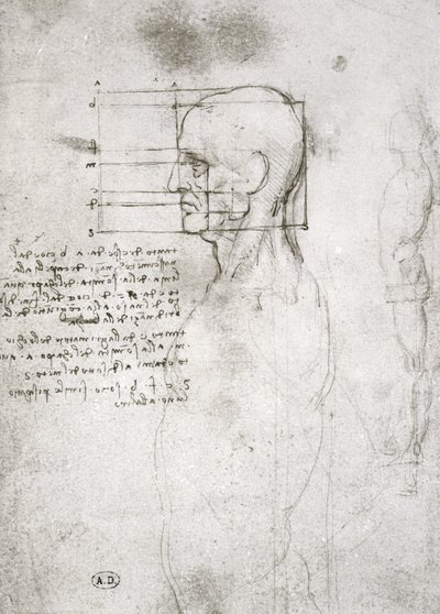 Cabeça de um homem velho em perfil, cópia de fac-símile (caneta e tinta no papel) de Leonardo da Vinci
