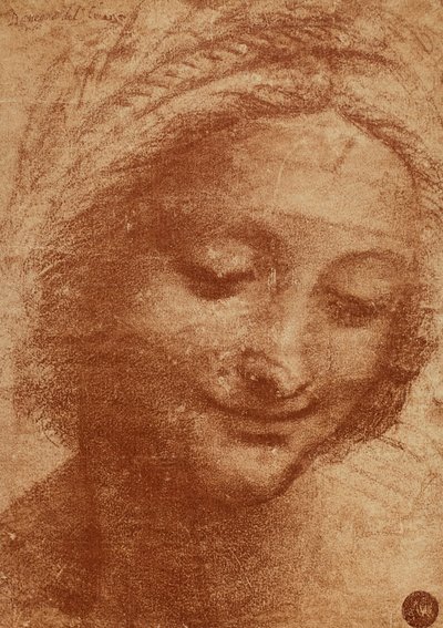 Cabeça da mulher ou de SantAnna, desenhando por Leonardo da Vinci, estudo para a cabeça de Sant Annas pintando Madonna com Criança e Sant Anna agora no Louvre. O design está alojado na Gallerie dellA de Leonardo da Vinci