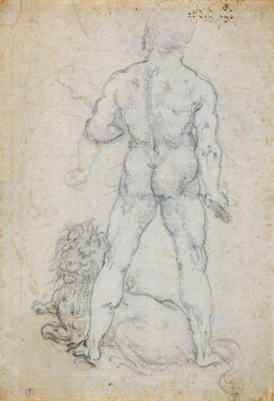 Hércules e o leão da Neméia, c. 1506-08 (ponta de carvão e metal em papel branco) de Leonardo da Vinci