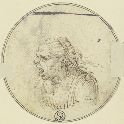 Caricatura de uma mulher com a boca aberta, retrato do peito, de perfil para a esquerda de Leonardo da Vinci