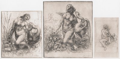 Leda e o cisne, c1504-1506 de Leonardo da Vinci