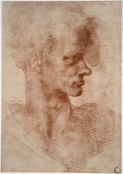 Leonardo da Vinci (1452 - 1519): Retrato caricatural de um homem jovem (Imagine) de Leonardo da Vinci