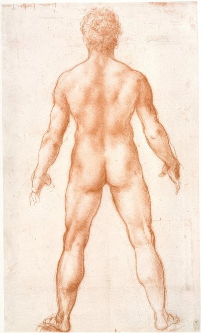 Nu masculino em vista traseira de Leonardo da Vinci