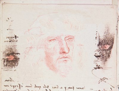 Notas sobre as mudanças de direção em vôo, página manuscrita de Codici Rari III 35.2, fol. 10v do Tratado sobre o Vôo dos Pássaros, 1505 (caneta e tinta no papel) de Leonardo da Vinci