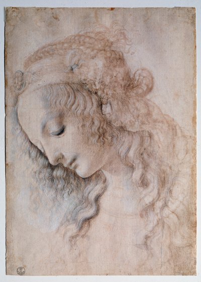 Retrato de Menina - Desenho de Leonardo da Vinci