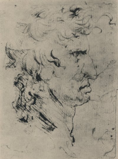 Perfil de um homem à direita, c1480 1945 de Leonardo da Vinci
