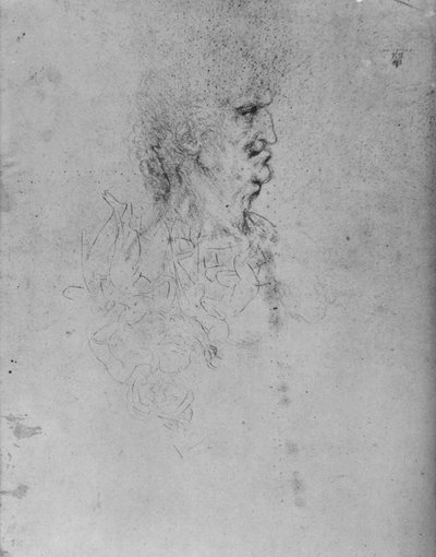 Perfil à direita de um homem idoso, c1480 1945 de Leonardo da Vinci