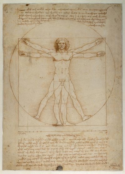 Esquema de proporções da forma humana de acordo com Vitruvius de Leonardo da Vinci
