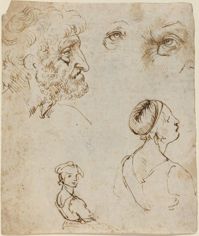 Folha de Estudos [reto] de Leonardo da Vinci