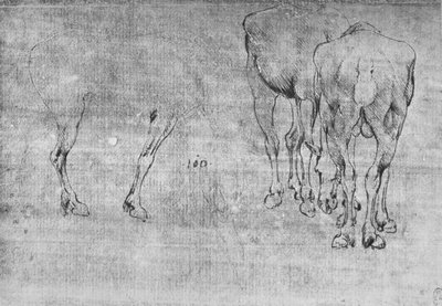 Estudos de Cavalos Pastando, c1480 1945 de Leonardo da Vinci