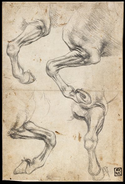 Estudos de Perna de Cavalos de Leonardo da Vinci