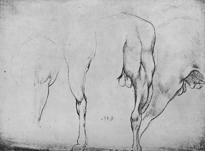 Estudos de pernas de cavalos, c1480 1945 de Leonardo da Vinci