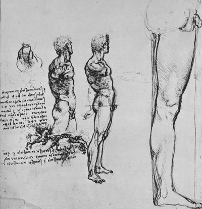 Estudos de nus e esboço menor de uma batalha, c1480 1945 de Leonardo da Vinci