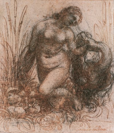 Estudo para Leda e cisne por Leonardo da Vinci (1452-1519), desenho de Leonardo da Vinci