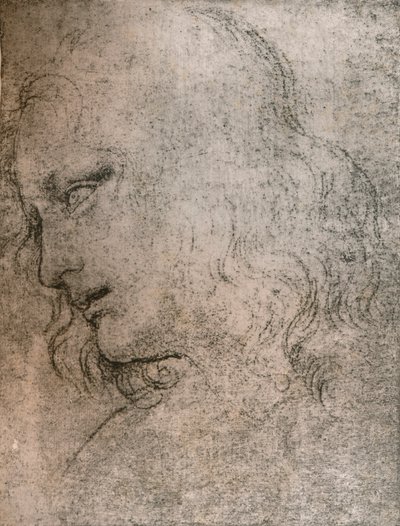 Estude para o chefe de São Filipe em "A Última Ceia", c1494-c1499 1883. de Leonardo da Vinci