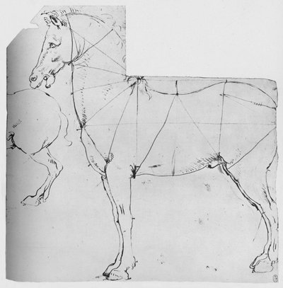 Estudo de um cavalo marcado para medição, c1480 1945 de Leonardo da Vinci