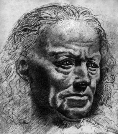 Estudo da expressão de Leonardo da Vinci