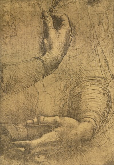 Estudo das mãos femininas, c1472-c1519 1883 de Leonardo da Vinci