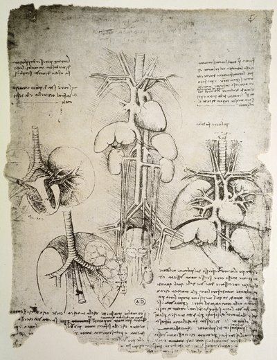 O Coração e a Circulação, fac-símile do livro de Windsor (caneta e tinta no papel) de Leonardo da Vinci