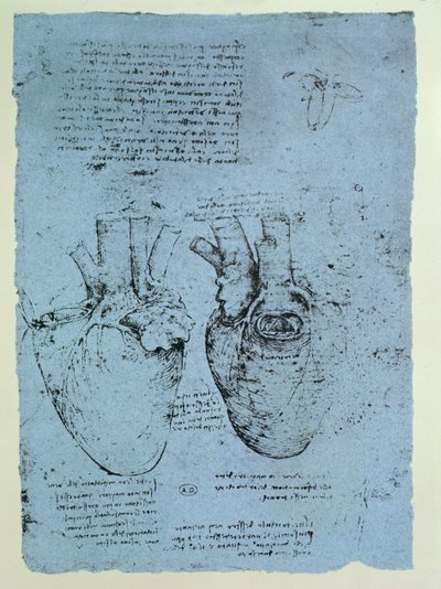 The Heart, fac-símile do livro de Windsor (caneta e tinta no papel) de Leonardo da Vinci