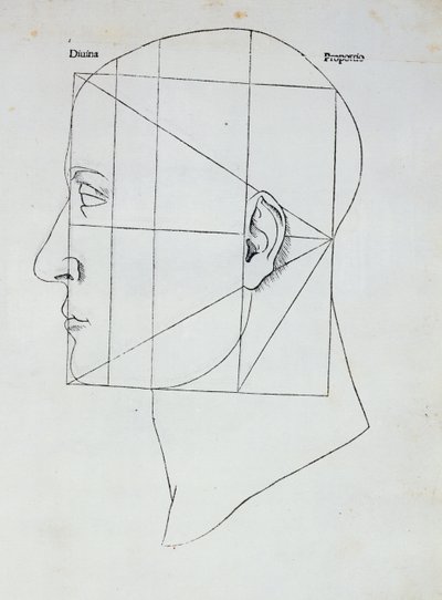 A cabeça humana, ilustração para &39;Divina Proportione&39; por Luca Pacioli (1445-1517), 1509 de Leonardo da Vinci