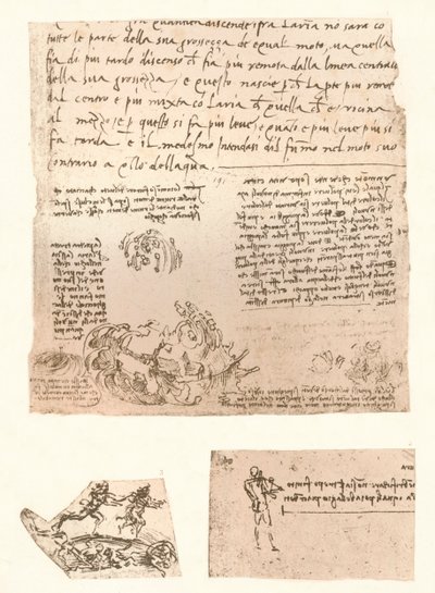 Três desenhos, c1472-c1519 1883 de Leonardo da Vinci