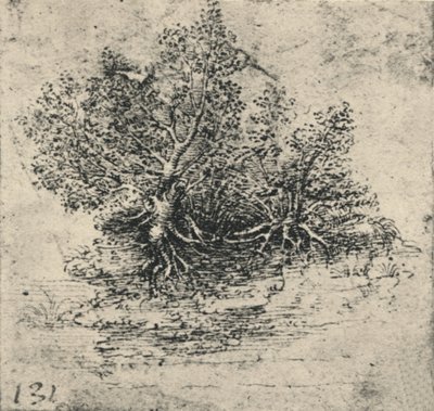 Duas árvores na margem de um riacho, c1480 1945 de Leonardo da Vinci