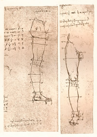 Dois desenhos ilustrando a teoria das proporções da figura humana, c1472-c1519 1883 de Leonardo da Vinci