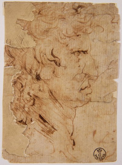 Imagem desconhecida de Leonardo da Vinci
