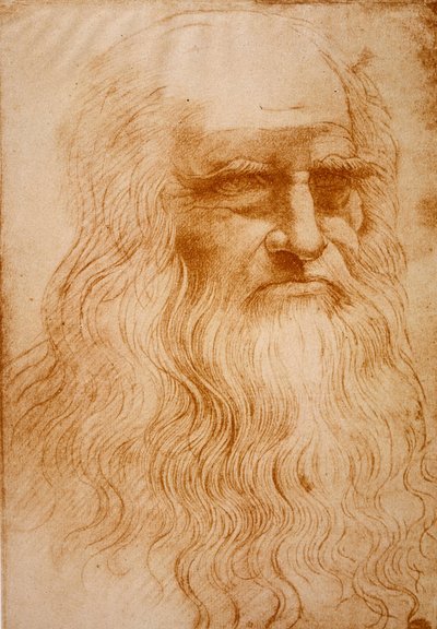 Imagem desconhecida de Leonardo da Vinci