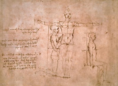 Estudos de Proporção Comparada ... de Leonardo da Vinci