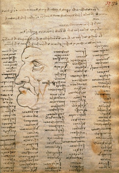 Lista de palavras e perfil masculino, do Codex Trivulzianus de Leonardo da Vinci