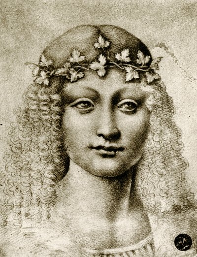 Cabeça de uma menina coroada de videira de Leonardo da school of Vinci