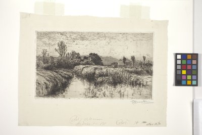 Tarde Em Março, Schleissheim, Baviera (gravura) de Lewis Henry Meakin