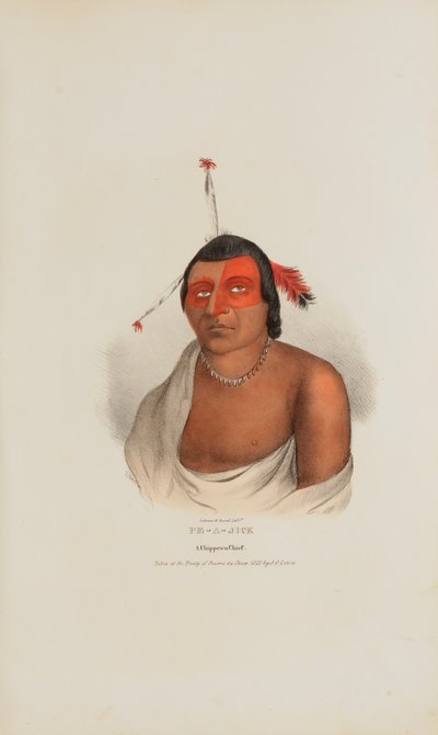 PE-A-JICK; Um chefe Chippewa, de The Aboriginal Portfolio de Lewis, James Otto
