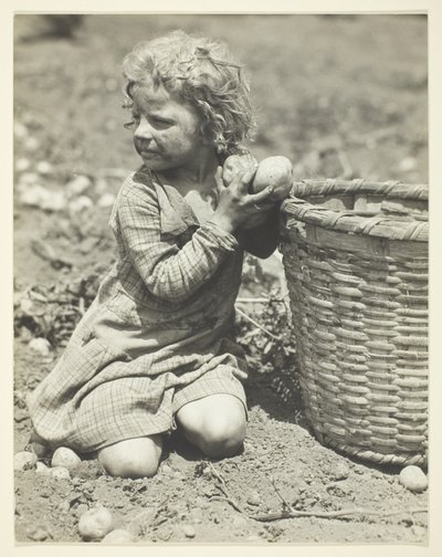 Trabalho infantil na quinta de Lewis Wickes Hine