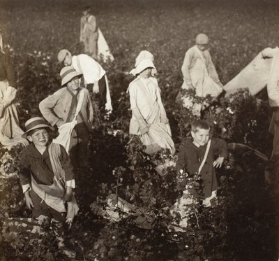 Perto de Waxahachie, Texas de Lewis Wickes Hine