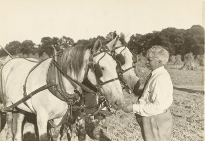 Sem título, ca. 1935. de Lewis Wickes Hine