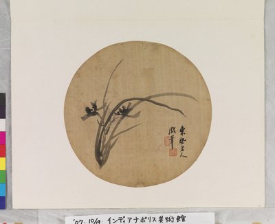 Orquídea em flor de Li Chen