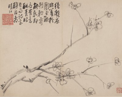 Álbum de ameixa em flor, 1742. de Li Fangying